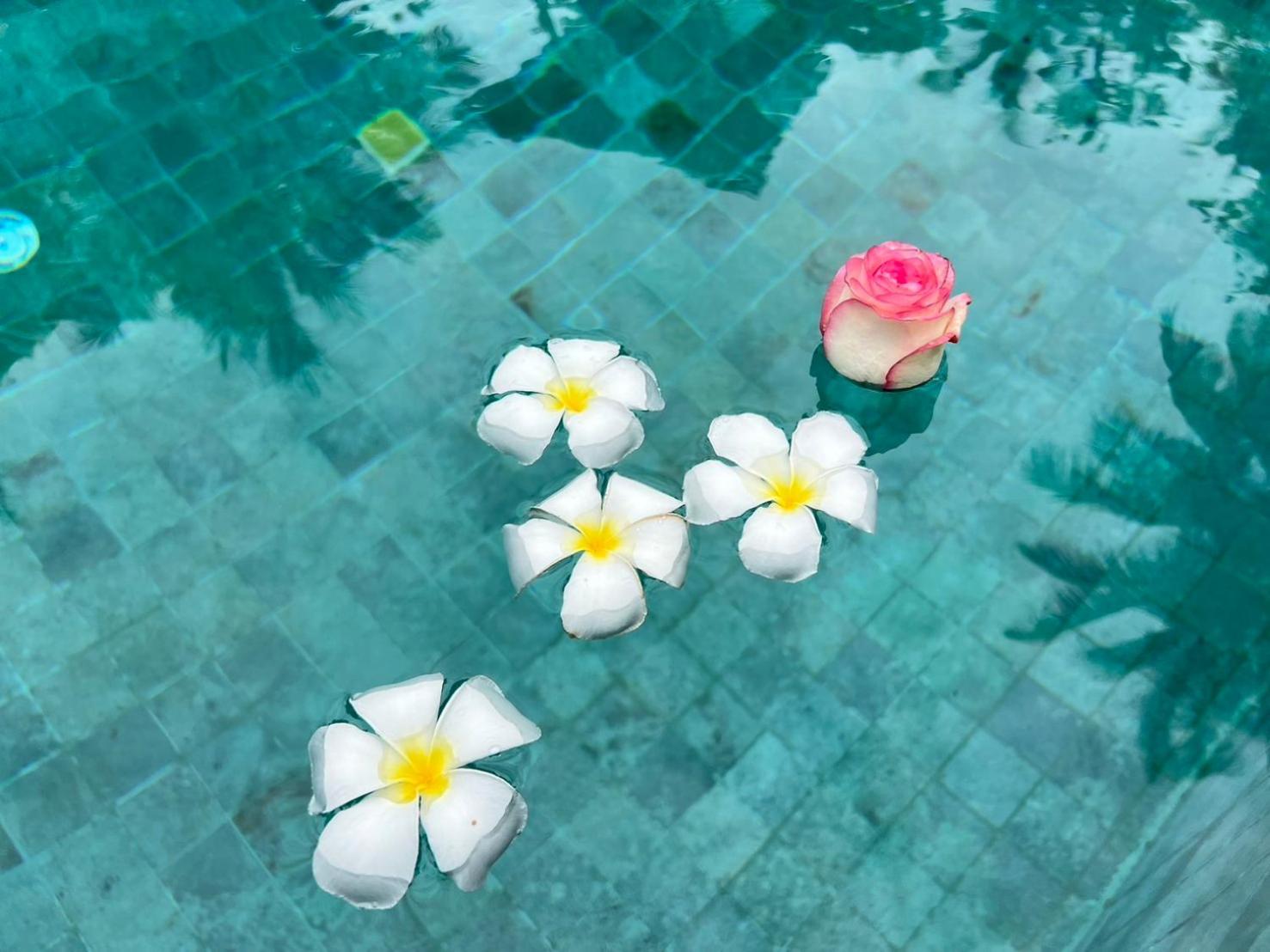 Chill Lay Resort Donsak 当萨 外观 照片